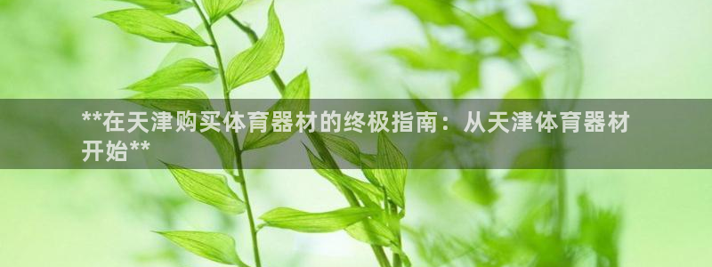 辉达娱乐挂机脚本：**在天津购买体育器材的终极指南：