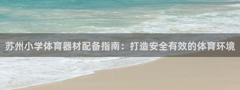 辉达天下：苏州小学体育器材配备指南：打造安全有效的体