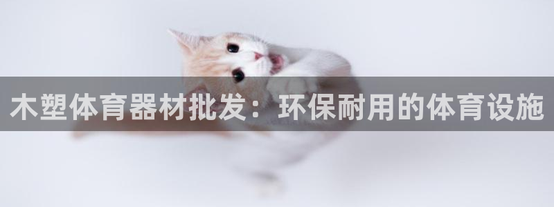 辉达集团是干嘛的企业：木塑体育器材批发：环保耐用的体
