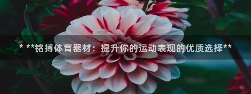 辉达娱乐出款快吗是真的吗：* **铭搏体育器材：提升
