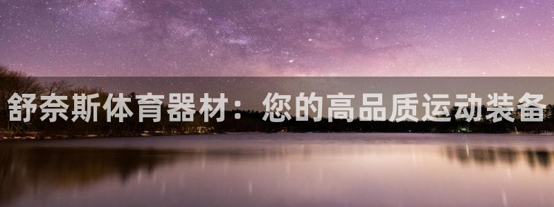 辉达挑战第二关怎么过：舒奈斯体育器材：您的高品质运动