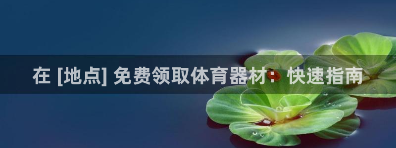 辉达娱乐平台官网登录入口网址：在 [地点] 免费领取
