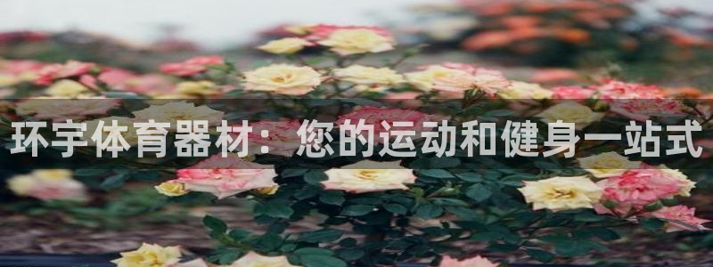 辉达娱乐出款快吗是真的吗：环宇体育器材：您的运动和健