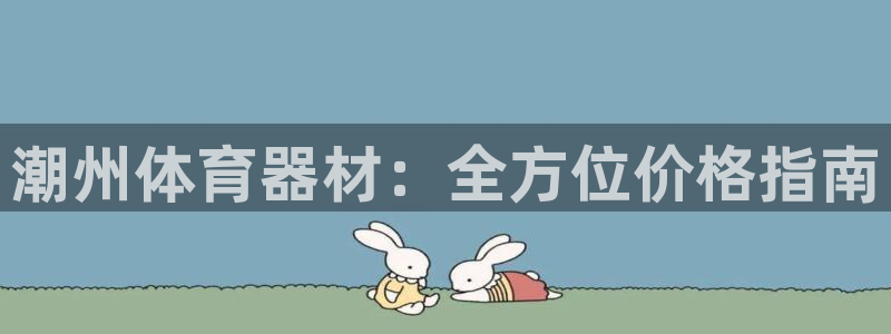 辉达圣主：潮州体育器材：全方位价格指南