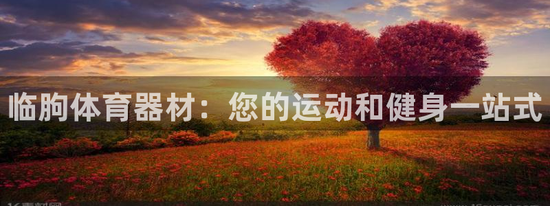 辉达平台客服24小时在线咨询：临朐体育器材：您的运动