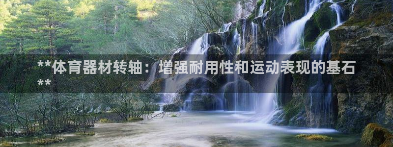辉达娱乐：**体育器材转轴：增强耐用性和运动表现的基