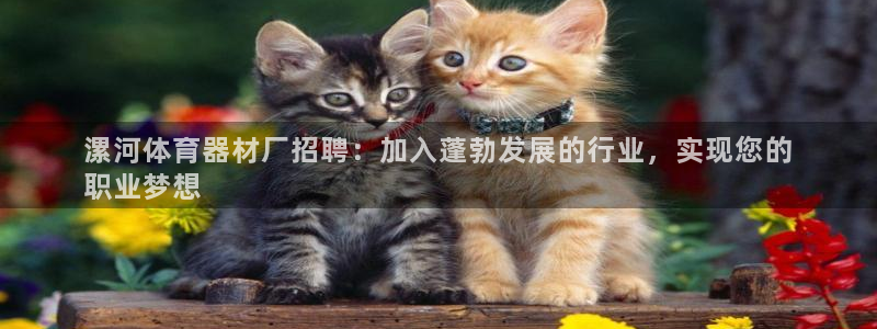 辉达平台开户联4.8.7.7.8.4他系稳定吗