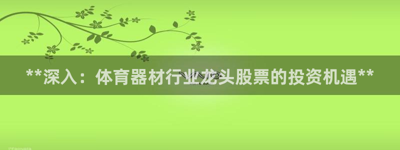 辉达娱乐返点多少钱：**深入：体育器材行业龙头股票的