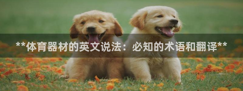 辉达娱乐能提现吗现在多少钱：**体育器材的英文说法：