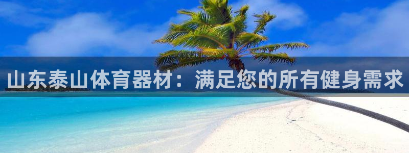 辉达集团王总：山东泰山体育器材：满足您的所有健身需求