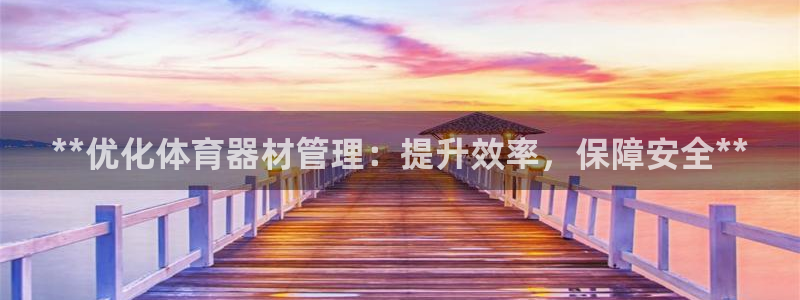 辉达娱乐脚本下载官网：**优化体育器材管理：提升效率
