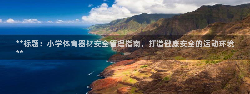 辉达天下的微信名字好吗：**标题：小学体育器材安全管
