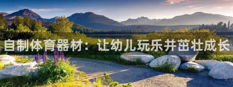 辉达平台注册步骤：自制体育器材：让幼儿玩乐并茁壮成长