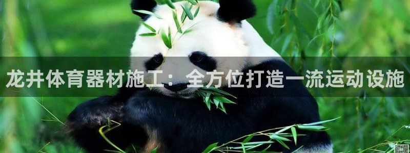 辉达娱乐注册官网入口：龙井体育器材施工：全方位打造一