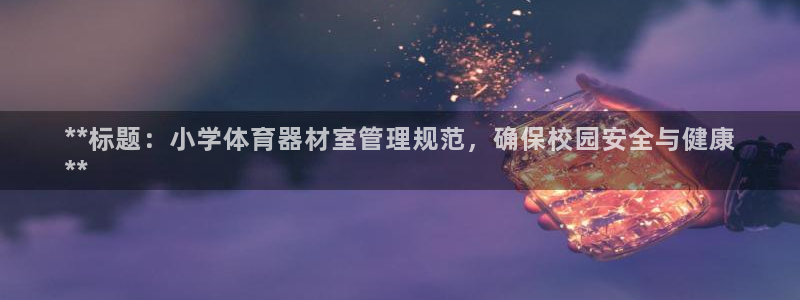 辉达集团王大聪：**标题：小学体育器材室管理规范，确保校园安