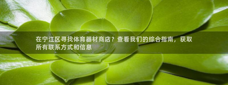 辉达娱乐优 411o31 辉达：在宁江区寻找体育器材