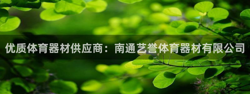 辉达平台总代理电话：优质体育器材供应商：南通艺誉体育