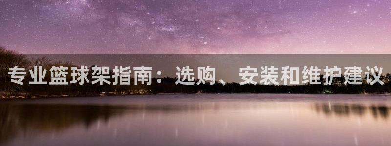 辉达登场之类的广告词：专业篮球架指南：选购、安装和维