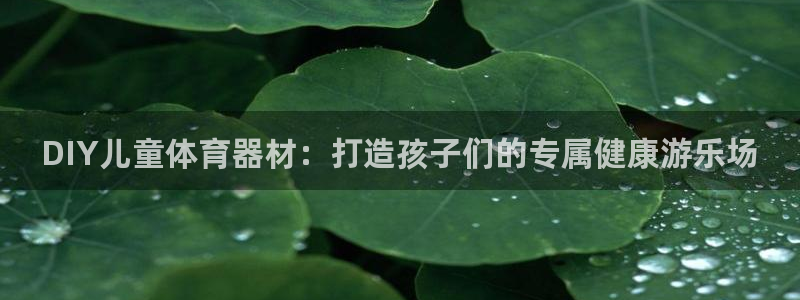 辉达平台总代理：DIY儿童体育器材：打造孩子们的专属健康游乐