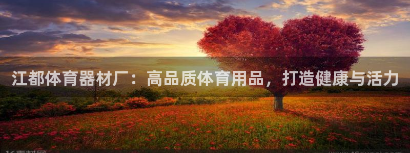 辉达娱乐六7O777：江都体育器材厂：高品质体育用品