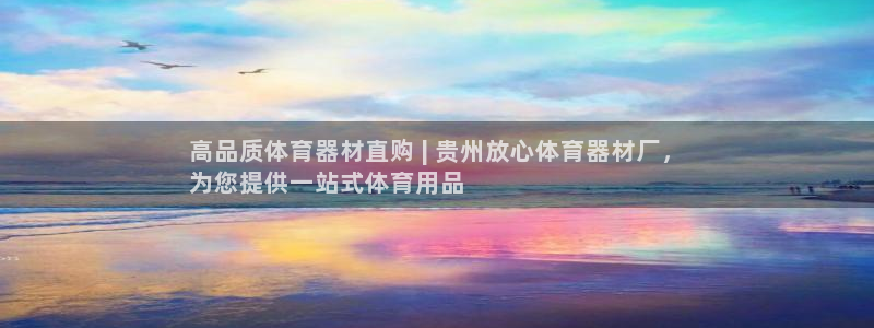 辉达集团王大聪图片：高品质体育器材直购 | 贵州放心