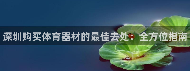辉达娱乐含山县：深圳购买体育器材的最佳去处：全方位指