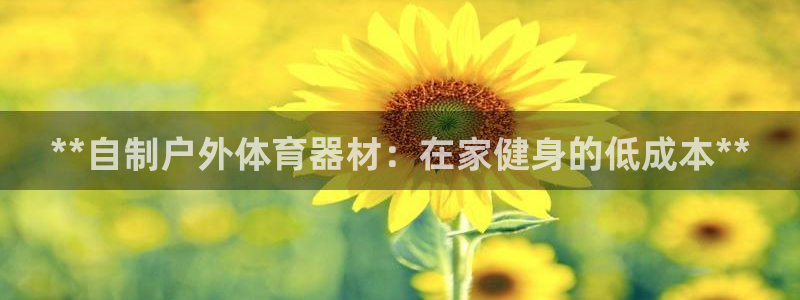 辉达微光曲谱：**自制户外体育器材：在家健身的低成本