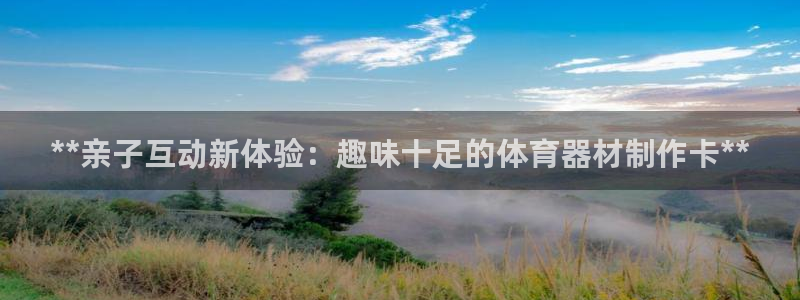 辉达小说全文免费阅读：**亲子互动新体验：趣味十足的