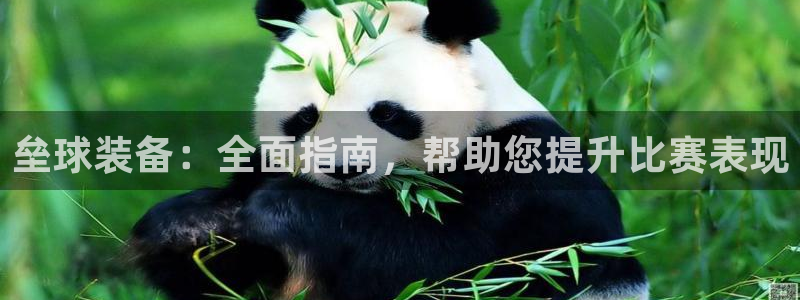 辉达娱乐提现失败原因：垒球装备：全面指南，帮助您提升