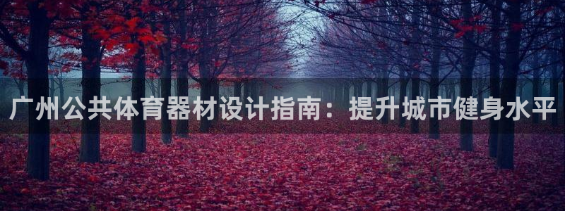 辉达娱乐平台官网下载：广州公共体育器材设计指南：提升