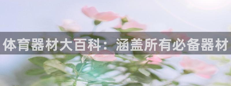 辉达集团董事长简介：体育器材大百科：涵盖所有必备器材