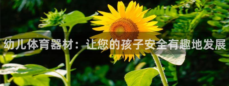 辉达平台卜6.7.5.1.3.8：幼儿体育器材：让您