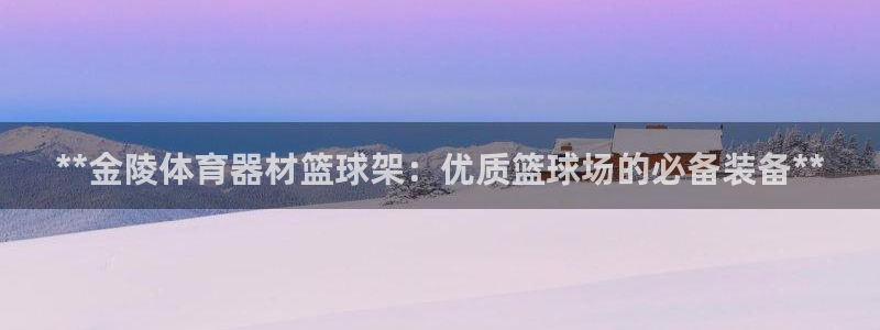 辉达娱乐脚本下载：**金陵体育器材篮球架：优质篮球场