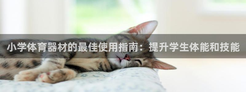辉达娱乐app下载安装最新版：小学体育器材的最佳使用