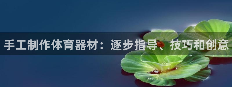 辉达娱乐间7O777：手工制作体育器材：逐步指导、技