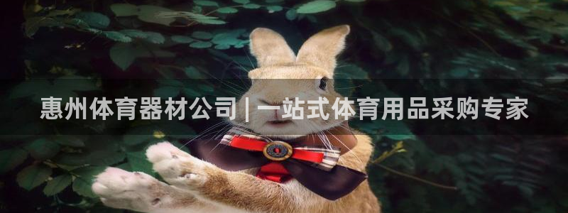 辉达娱乐在线登录官网入口：惠州体育器材公司 | 一站式体育用