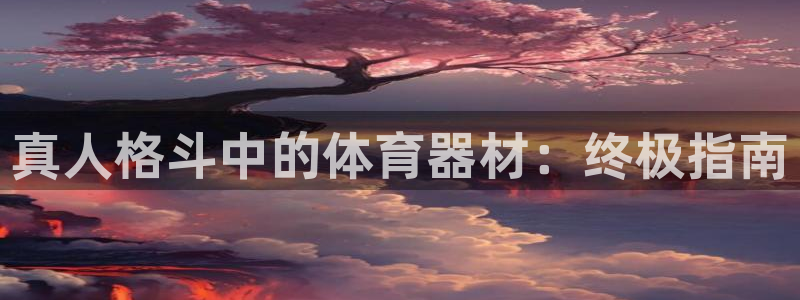 辉达平台注册最新地址查询：真人格斗中的体育器材：终极