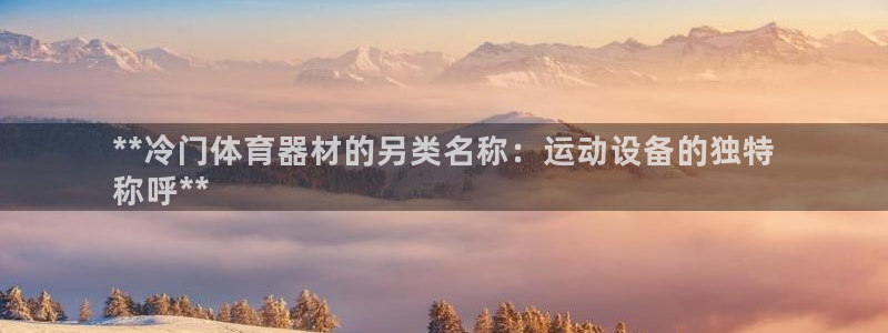 辉达集团是什么电影：**冷门体育器材的另类名称：运动