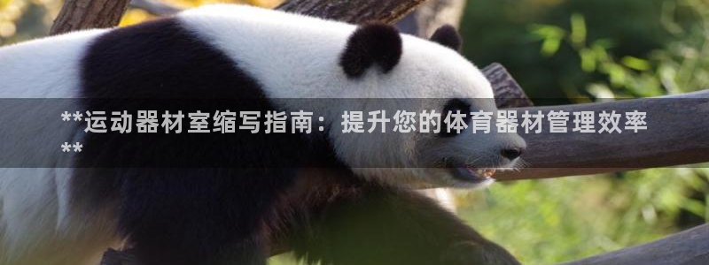 辉达第二关：**运动器材室缩写指南：提升您的体育器材
