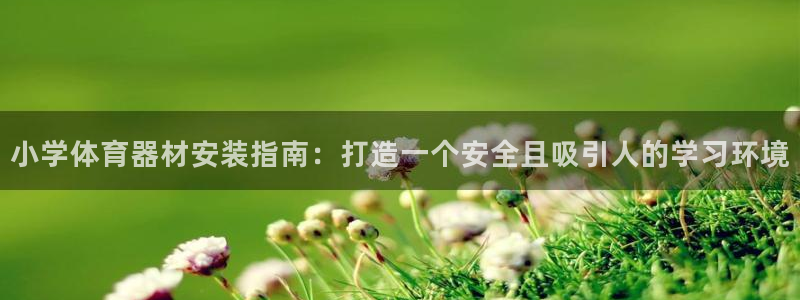 辉达娱乐登陆地址在哪：小学体育器材安装指南：打造一个