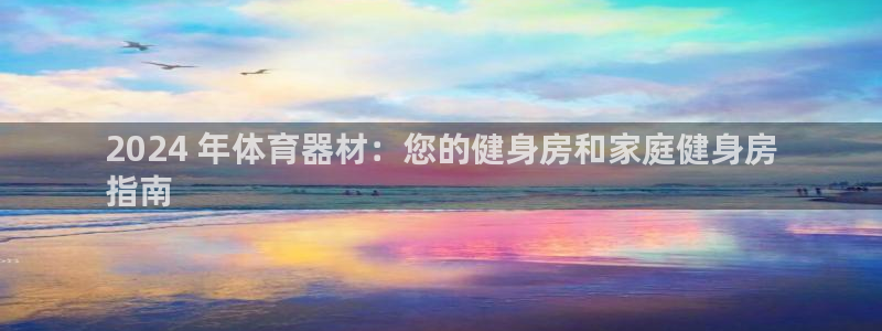 辉达平台先 585341 辉达：2024 年体育器材