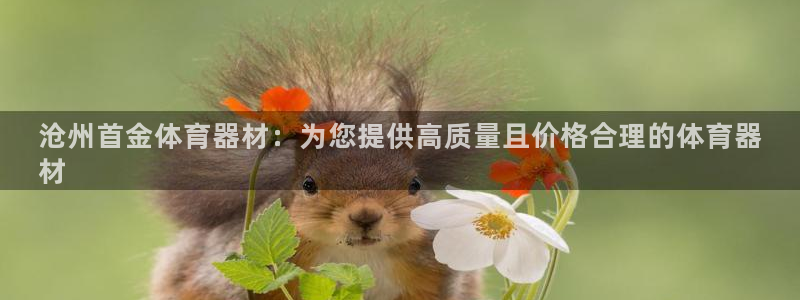 辉达平台注册：沧州首金体育器材：为您提供高质量且价格