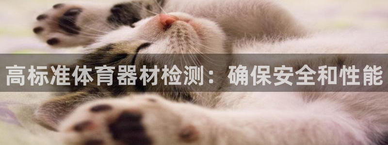 辉达集团总部在哪儿：高标准体育器材检测：确保安全和性