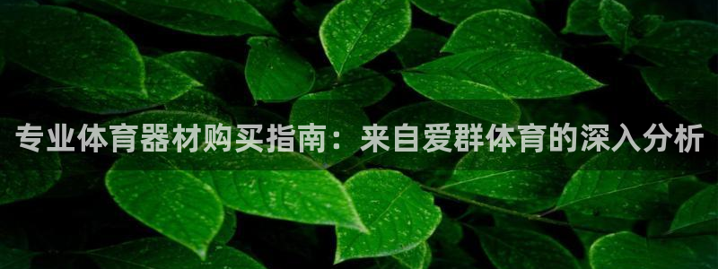 辉达平台是黑台子吗：专业体育器材购买指南：来自爱群体