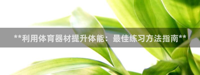 辉达娱乐网站官网：**利用体育器材提升体能：最佳练习
