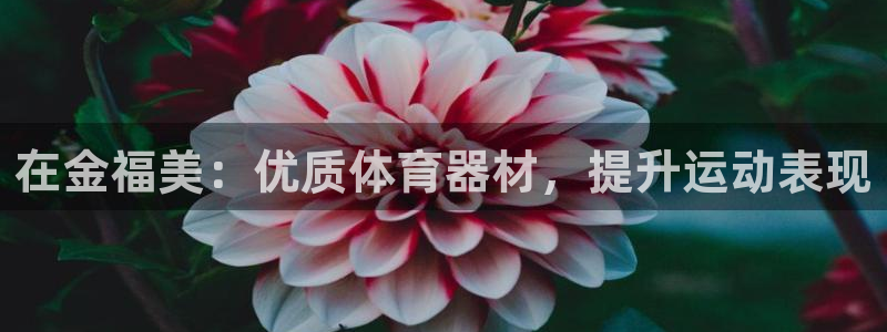 辉达平台最新注册地址是哪里的：在金福美：优质体育器材