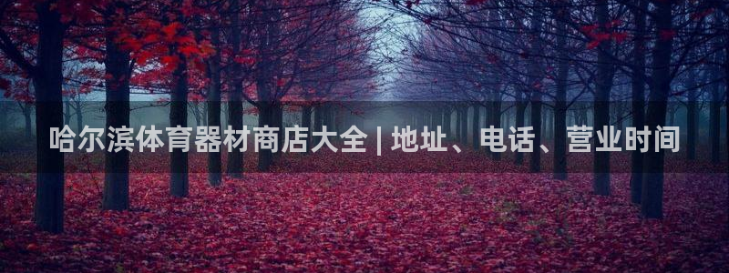 辉达平台合作 585341：哈尔滨体育器材商店大全 