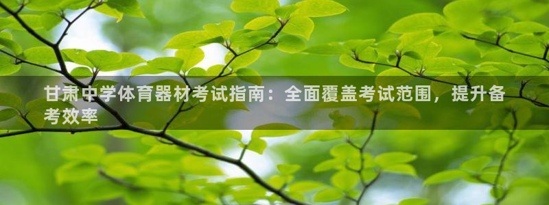 辉达盛典下载：甘肃中学体育器材考试指南：全面覆盖考试范围，提
