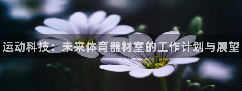 辉达娱乐app下载安装手机版