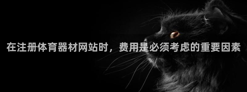 辉达挑战怎么过：在注册体育器材网站时，费用是必须考虑
